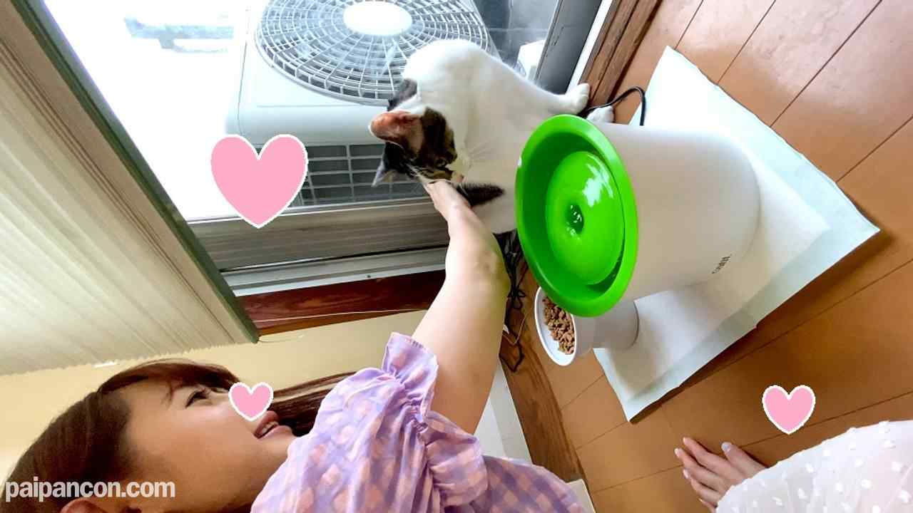 FC2-PPV-1544469 - 【女神GET】ネコカフェに居た女子２人を筋トレ教えてあげるよとナンパ。痩せるツボだよ！ってマンコ押したら発情しちゃって乱交ハメ撮り【しっかり種付け】