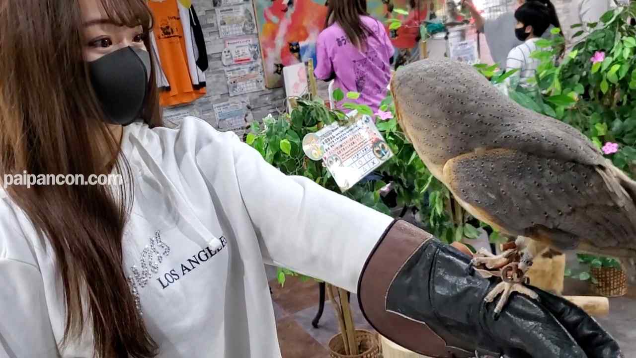 FC2-PPV-1794863 - 【初撮影】カフェで出会ったJDに中出し（前編） thumbnail_1.jpg