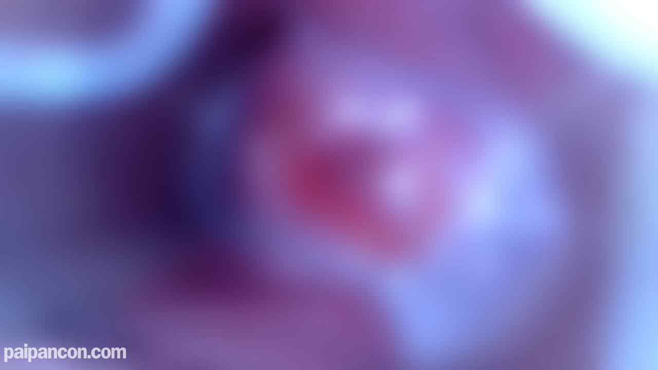 FC2-PPV-1926642 - CP0112 美乳★美マン★美アナルのS級ハーフ美女のAVデビューで大量中出しからのクスコで子宮接写❤まん毛❤鬼接写❤主観❤4K60fps❤超高画質❤10カメ❤ thumbnail_9.jpg