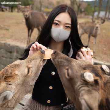 FC2-PPV-2577615 - 【シネマ画風！！】清楚美女の淫乱性癖が遂に覚醒される・・・幾度も絶頂を感じ身悶える敏感体に2回中出し！！これ程までに潮が吹き乱れるとは・・・（長編）