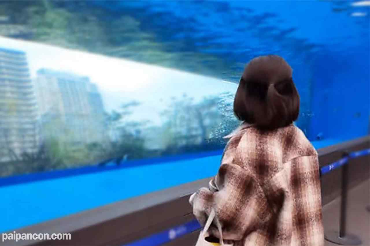 FC2-PPV-2876197 - ※期間限定販売※【顔出し・中出し】※長尺特典付き※知人の妹がこんな時期に上京してきて生活に困っていると言うので、色々交渉したら、お兄ちゃんには絶対内緒で個人使用ならと撮影させてくれました